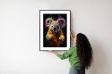 Plakat Wieloczęściowy Wielokolorowy Portret Koali Rama Aluminiowa Kolor Czarny