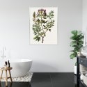 Plakat Wieloczęściowy Traganek Z Fioletowymi Kwiatami Rama Aluminiowa Kolor Czarny