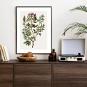 Plakat Wieloczęściowy Traganek Z Fioletowymi Kwiatami Rama Aluminiowa Kolor Czarny