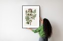 Plakat Wieloczęściowy Traganek Z Fioletowymi Kwiatami Rama Aluminiowa Kolor Czarny