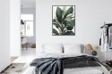 Plakat Wieloczęściowy Zielona Roślina Filodendron Rama Aluminiowa Kolor Czarny