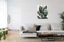 Plakat Wieloczęściowy Zielona Roślina Filodendron Rama Aluminiowa Kolor Czarny
