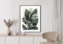 Plakat Wieloczęściowy Zielona Roślina Filodendron Rama Aluminiowa Kolor Czarny