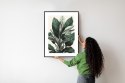 Plakat Wieloczęściowy Zielona Roślina Filodendron Rama Aluminiowa Kolor Czarny