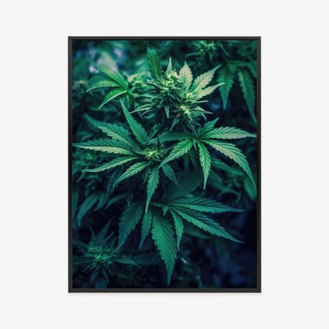 Plakat Wieloczęściowy Zielona Konopia Z Bliska Rama Aluminiowa Kolor Czarny