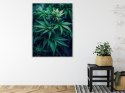 Plakat Wieloczęściowy Zielona Konopia Z Bliska Rama Aluminiowa Kolor Czarny