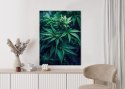 Plakat Wieloczęściowy Zielona Konopia Z Bliska Rama Aluminiowa Kolor Czarny