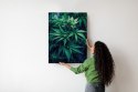 Plakat Wieloczęściowy Zielona Konopia Z Bliska Rama Aluminiowa Kolor Czarny