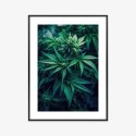 Plakat Wieloczęściowy Zielona Konopia Z Bliska Rama Aluminiowa Kolor Czarny