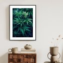 Plakat Wieloczęściowy Zielona Konopia Z Bliska Rama Aluminiowa Kolor Czarny