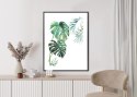 Plakat Wieloczęściowy Tropikalny Wzór Z Liśćmi Palmy I Monstery Akwarela Rama Aluminiowa Kolor Czarny