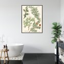 Plakat Wieloczęściowy Wizerunki Starych Roślin Botanicznych Rama Aluminiowa Kolor Czarny