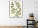 Plakat Wieloczęściowy Wizerunki Starych Roślin Botanicznych Rama Aluminiowa Kolor Czarny