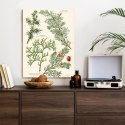 Plakat Wieloczęściowy Wizerunki Starych Roślin Botanicznych Rama Aluminiowa Kolor Czarny