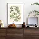Plakat Wieloczęściowy Wizerunki Starych Roślin Botanicznych Rama Aluminiowa Kolor Czarny