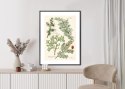 Plakat Wieloczęściowy Wizerunki Starych Roślin Botanicznych Rama Aluminiowa Kolor Czarny