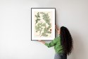 Plakat Wieloczęściowy Wizerunki Starych Roślin Botanicznych Rama Aluminiowa Kolor Czarny