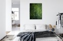 Plakat Wieloczęściowy Zielony Las Bambusowy Rama Aluminiowa Kolor Czarny