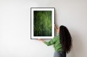 Plakat Wieloczęściowy Zielony Las Bambusowy Rama Aluminiowa Kolor Czarny